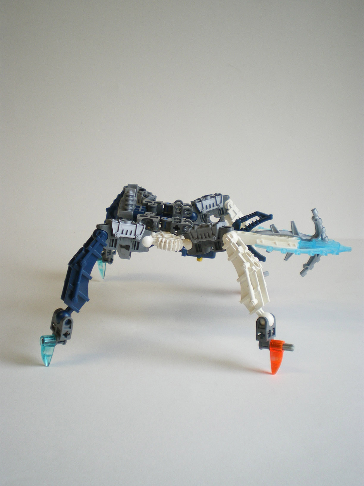 imgp8730.jpg