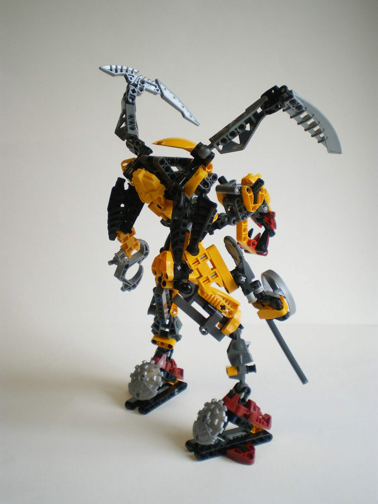 imgp8781.jpg