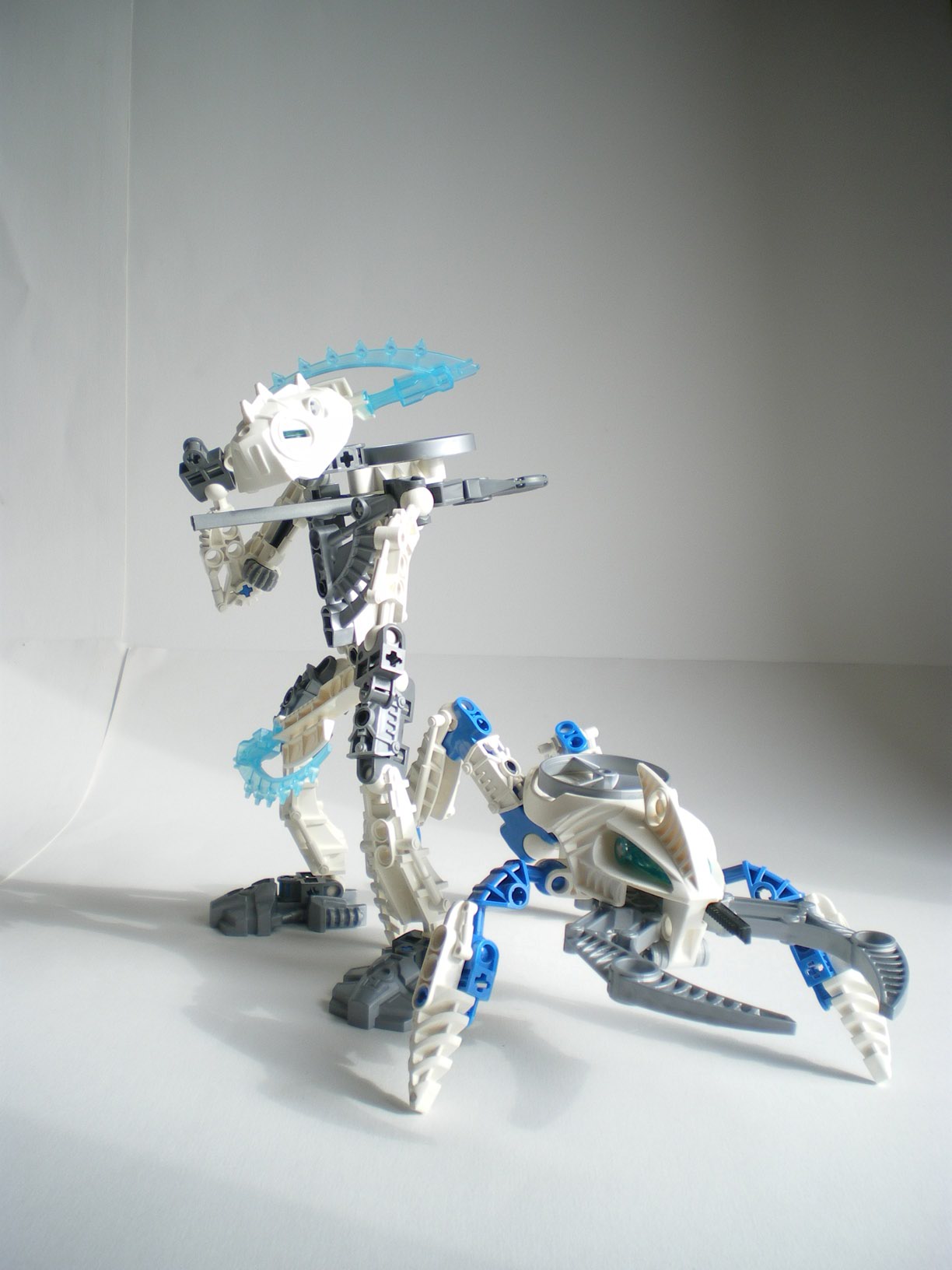 imgp7592.jpg