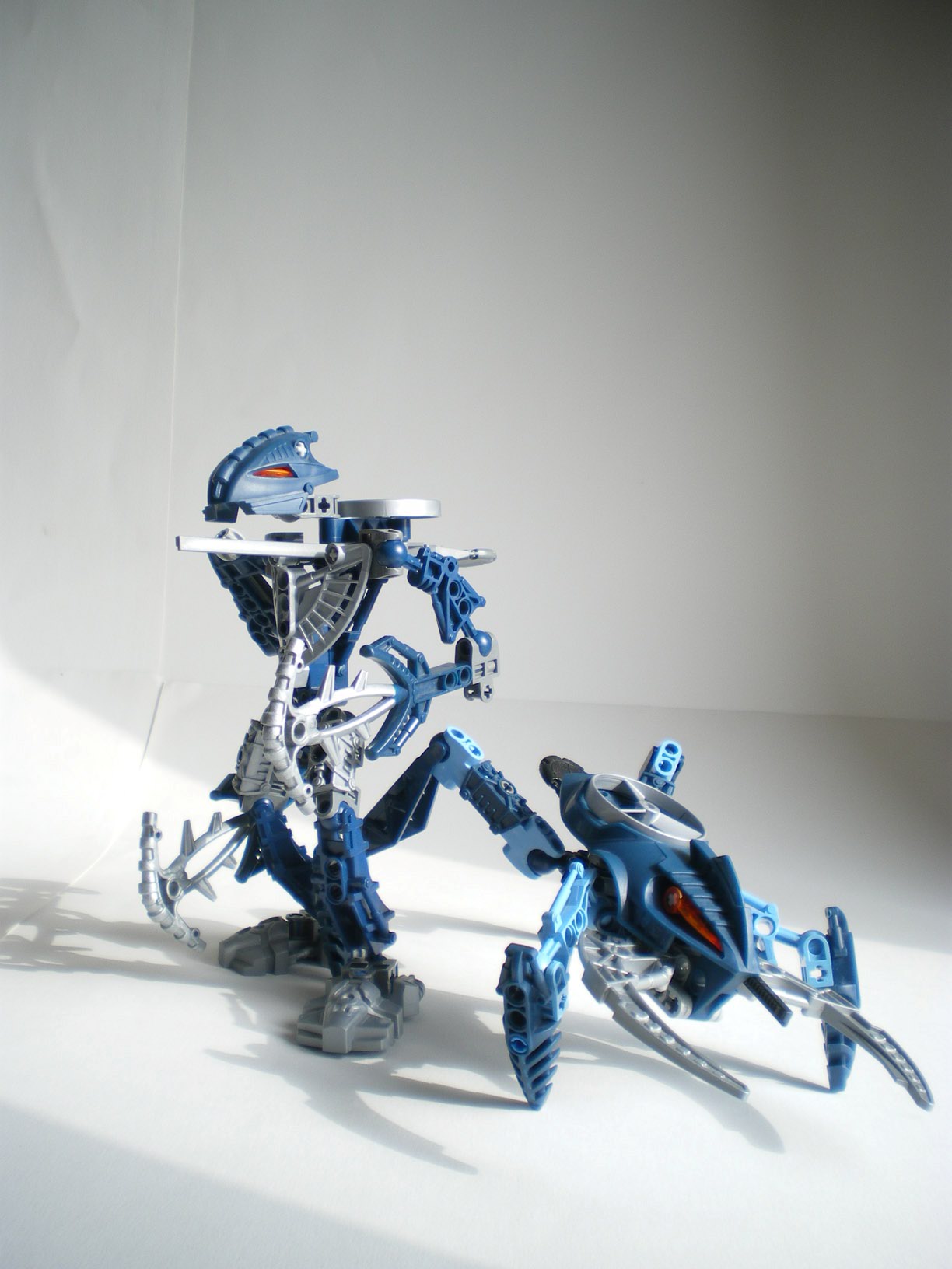 imgp7593.jpg