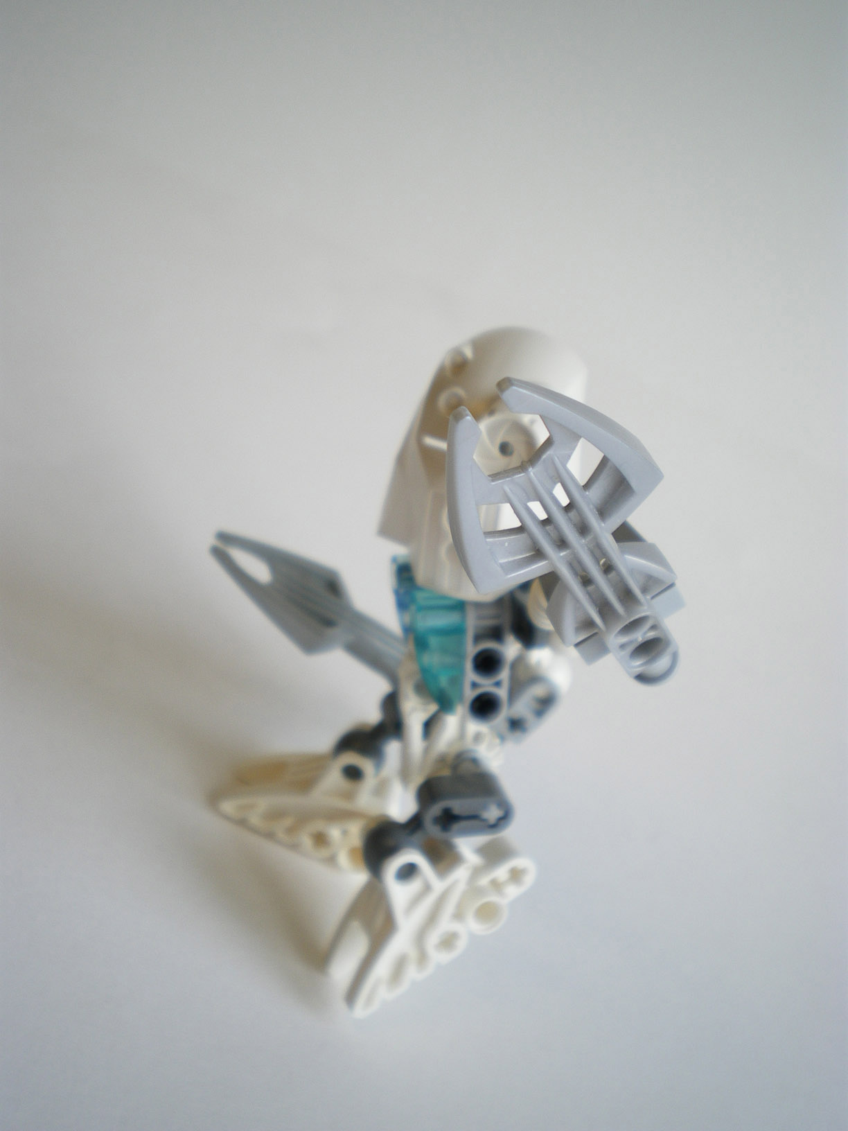 imgp5009.jpg