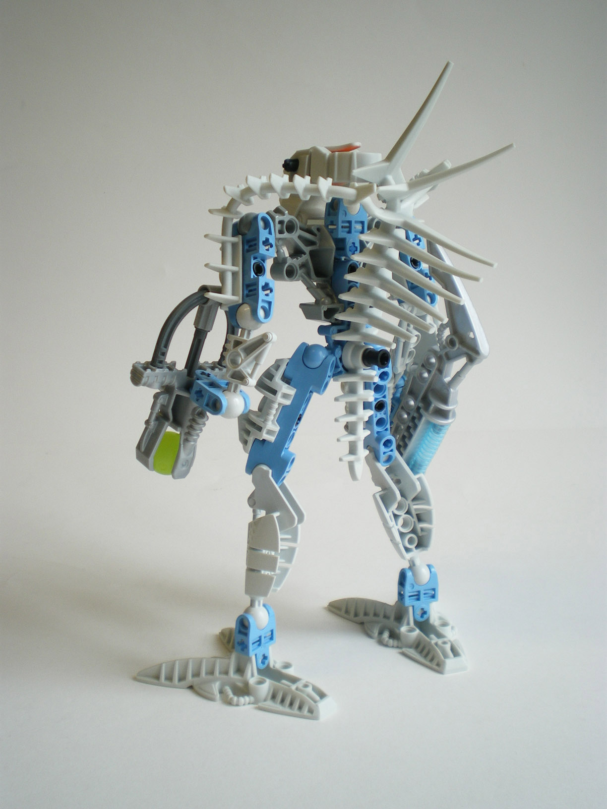 imgp4826.jpg