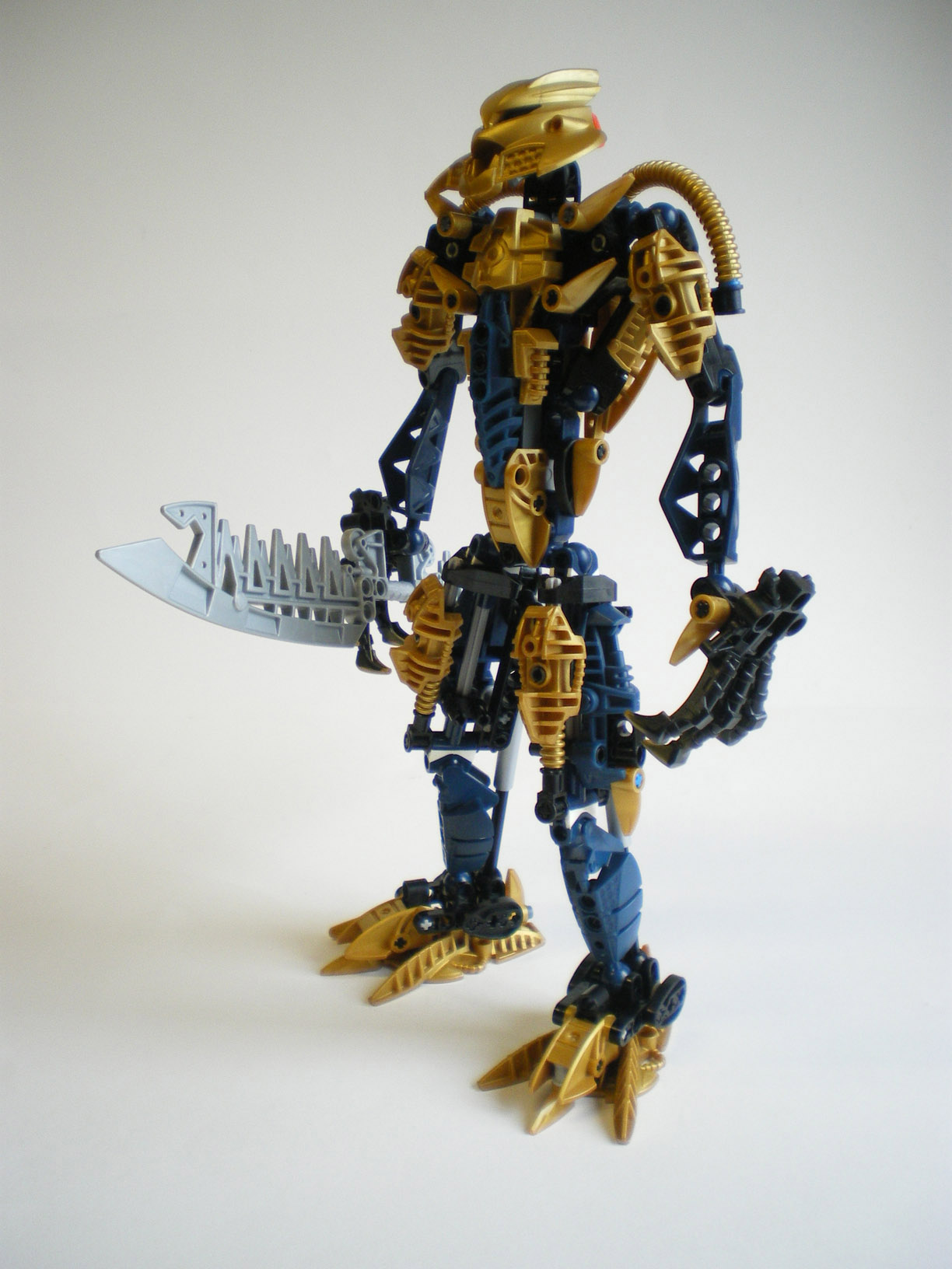 imgp5301.jpg