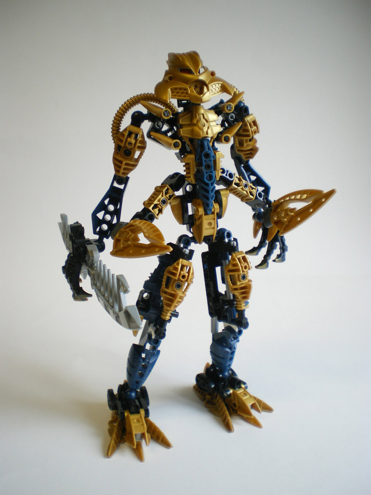 imgp5302.jpg