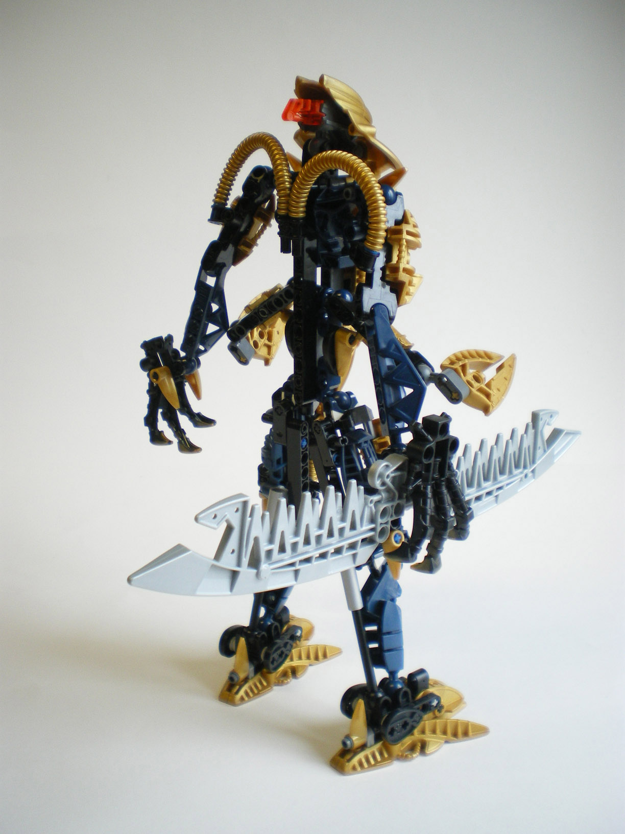 imgp5303.jpg