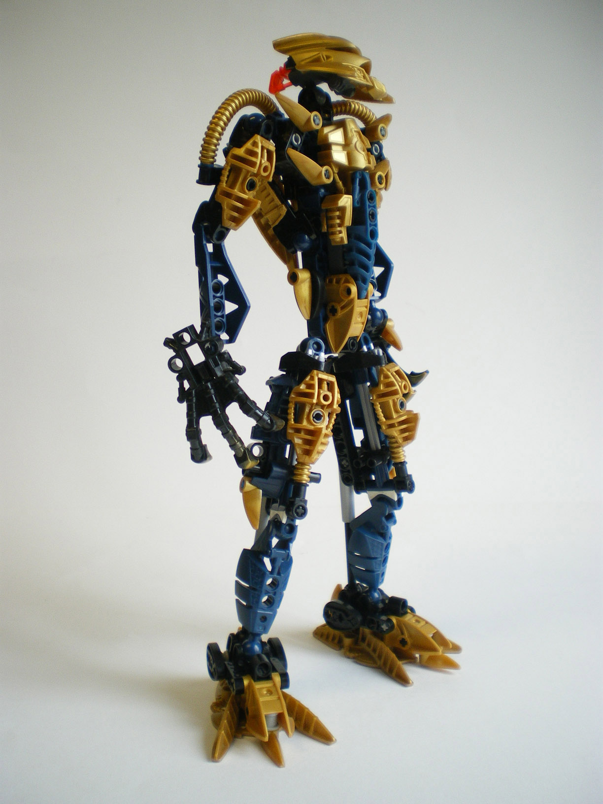 imgp5317.jpg