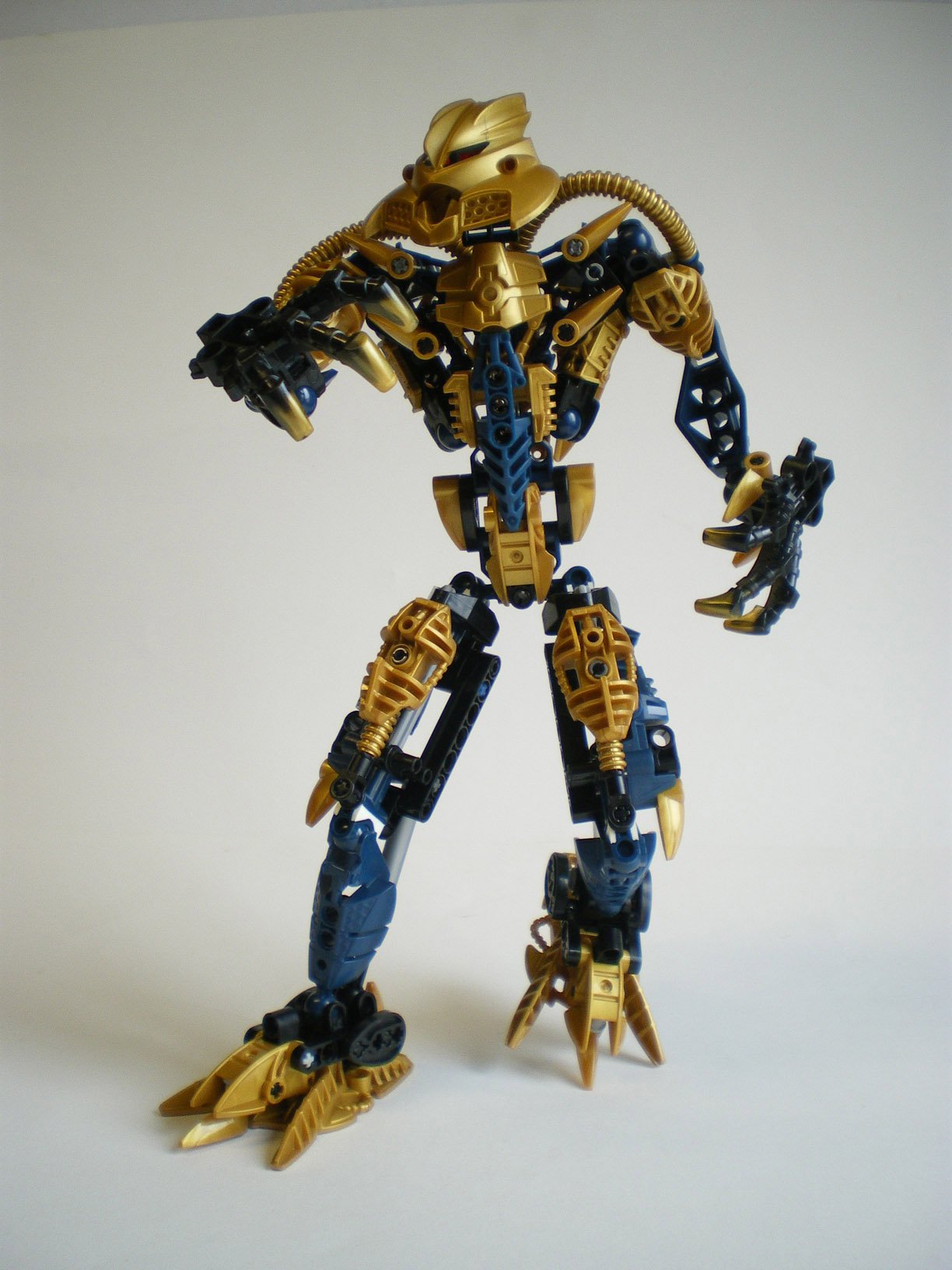 imgp5320.jpg
