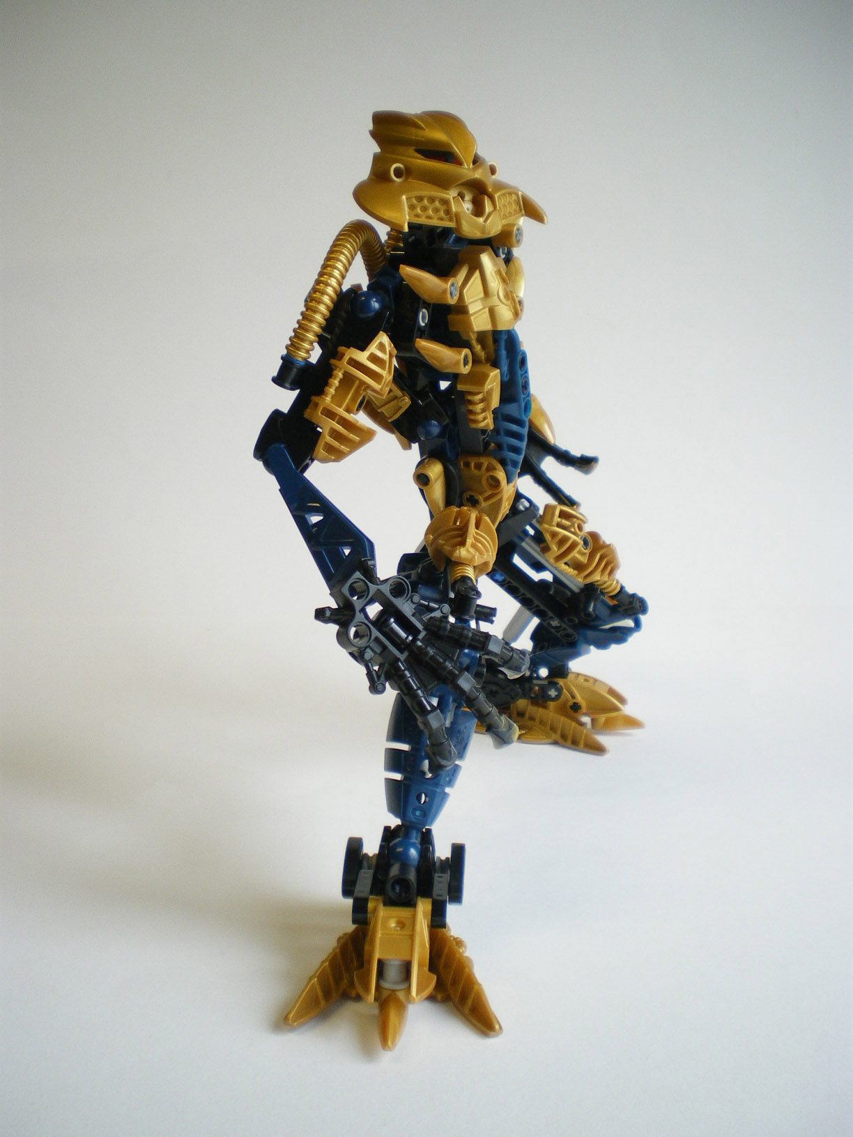 imgp5322.jpg