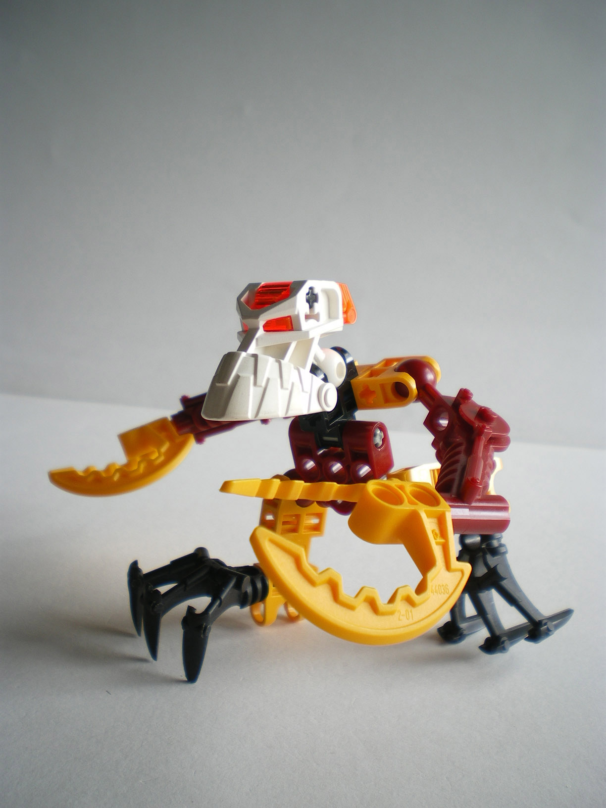 imgp3117.jpg
