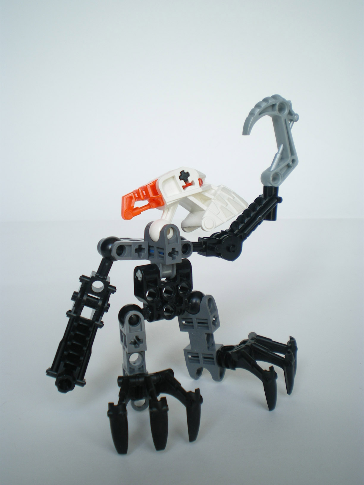 imgp4443.jpg