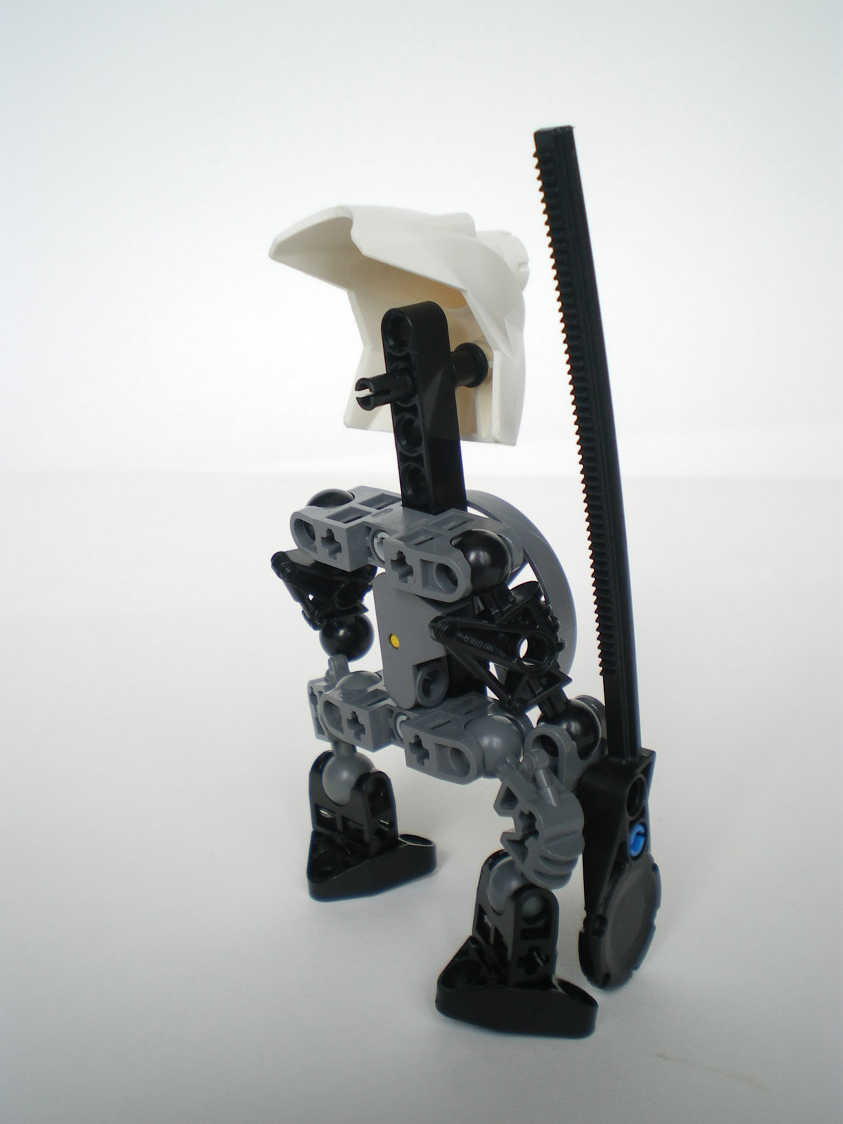 imgp4556.jpg
