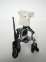 imgp4563.jpg