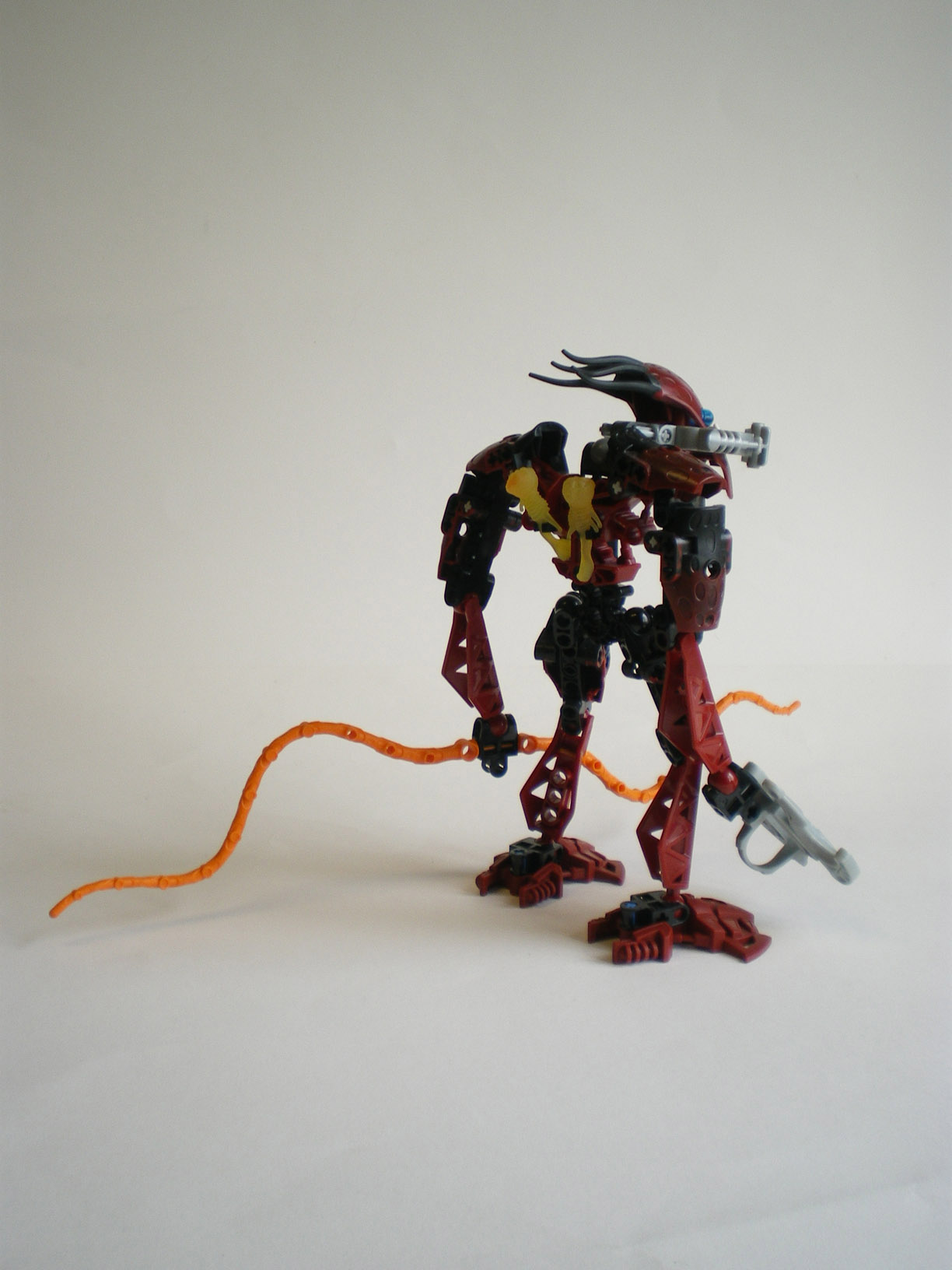 imgp5607.jpg