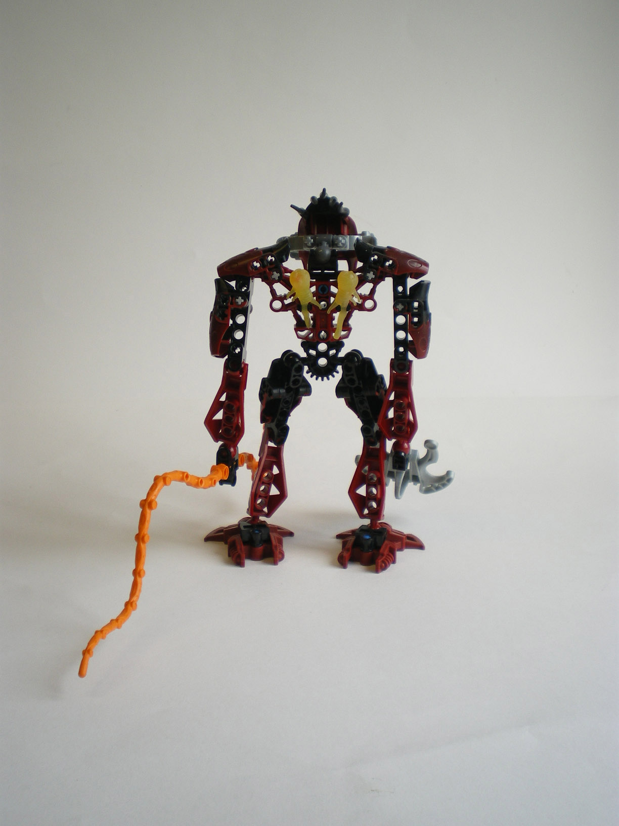 imgp5608.jpg