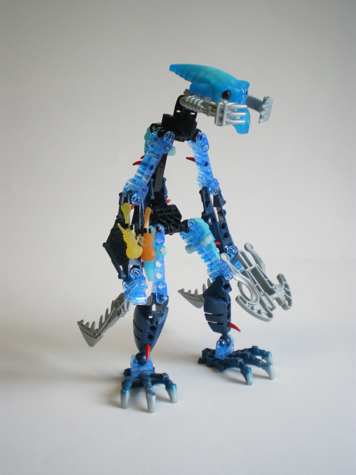 imgp5571.jpg