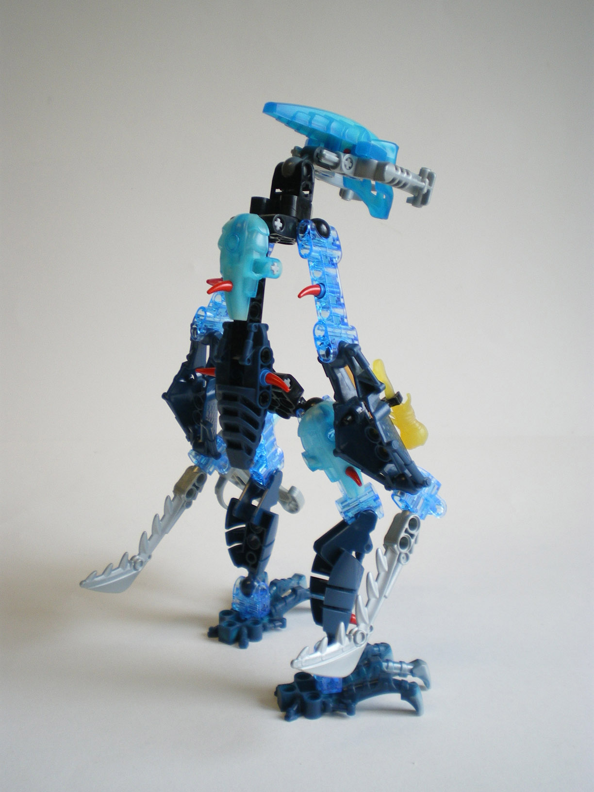 imgp5574.jpg