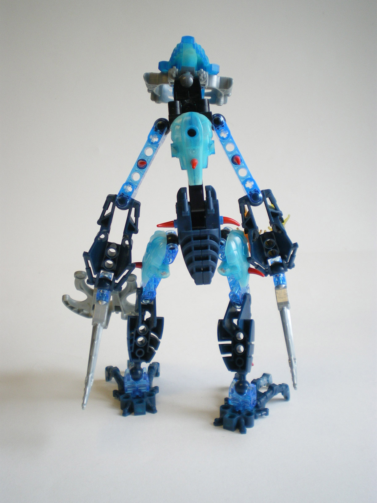 imgp5575.jpg