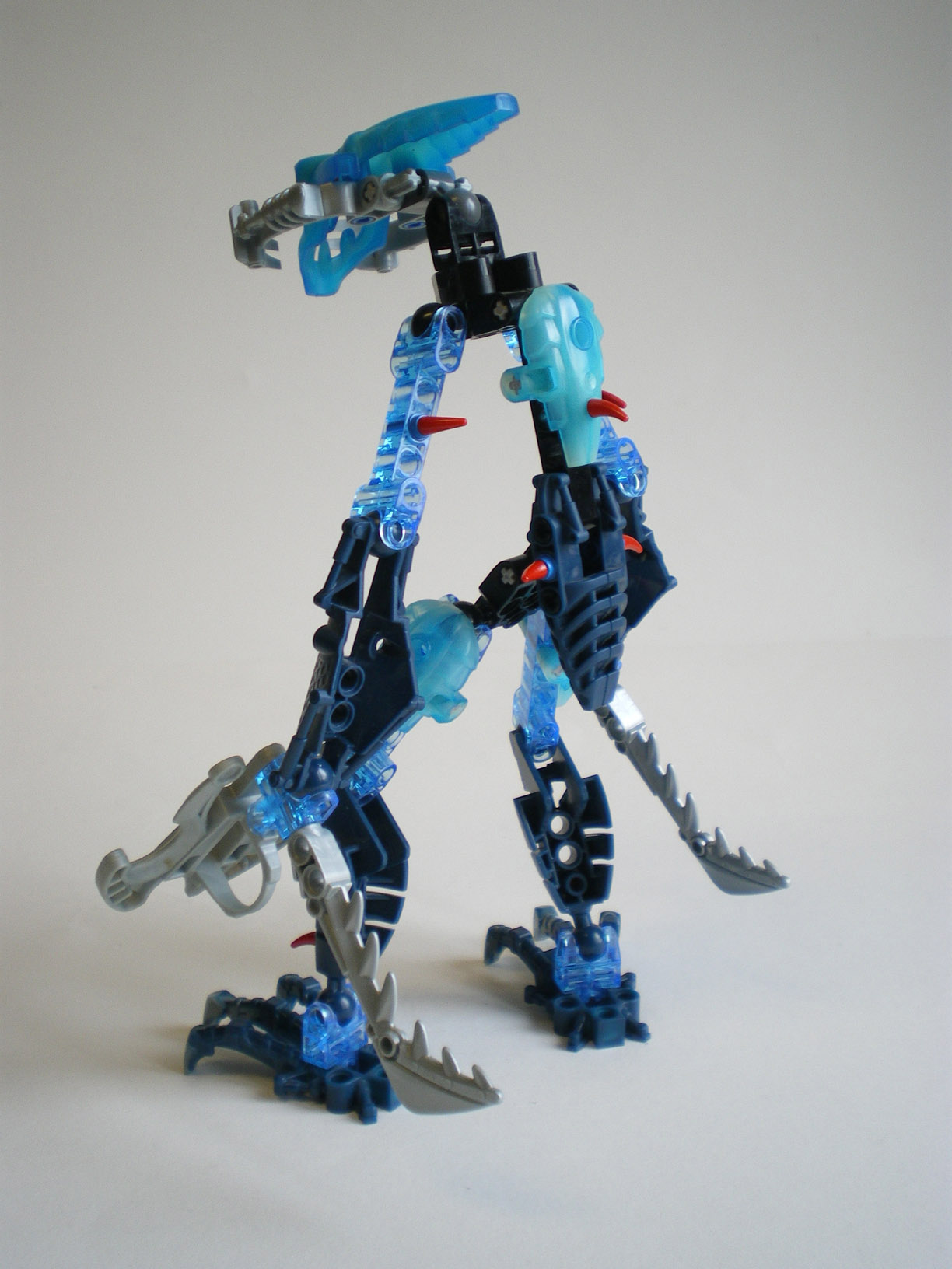 imgp5576.jpg