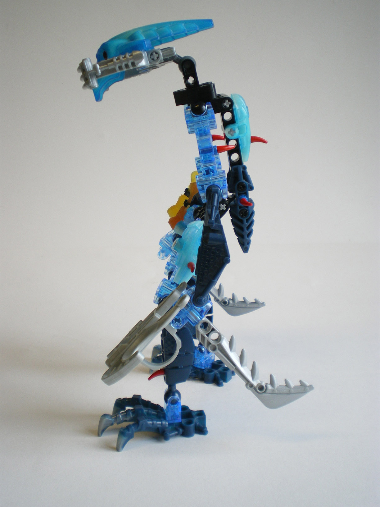 imgp5577.jpg