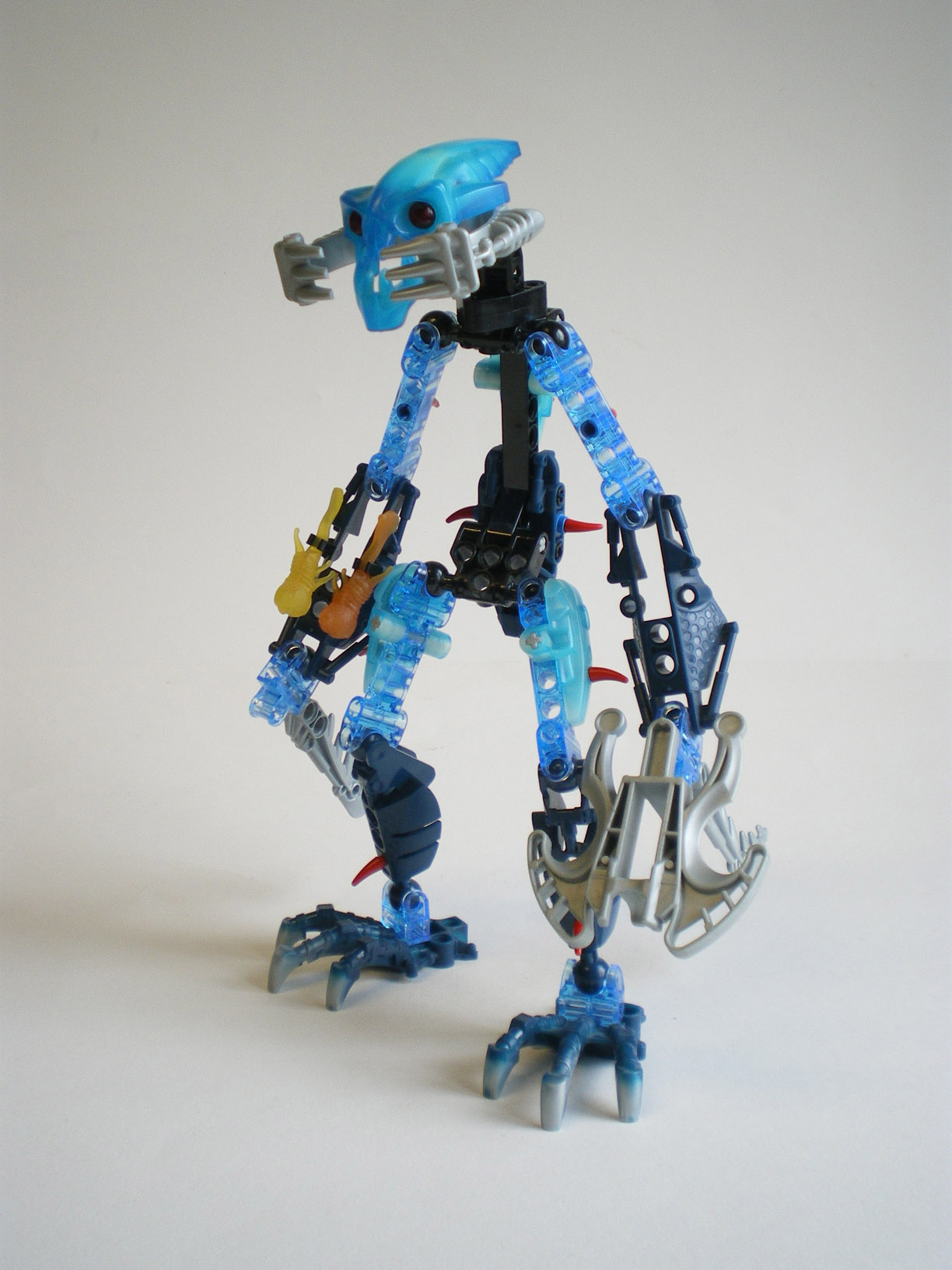 imgp5579.jpg