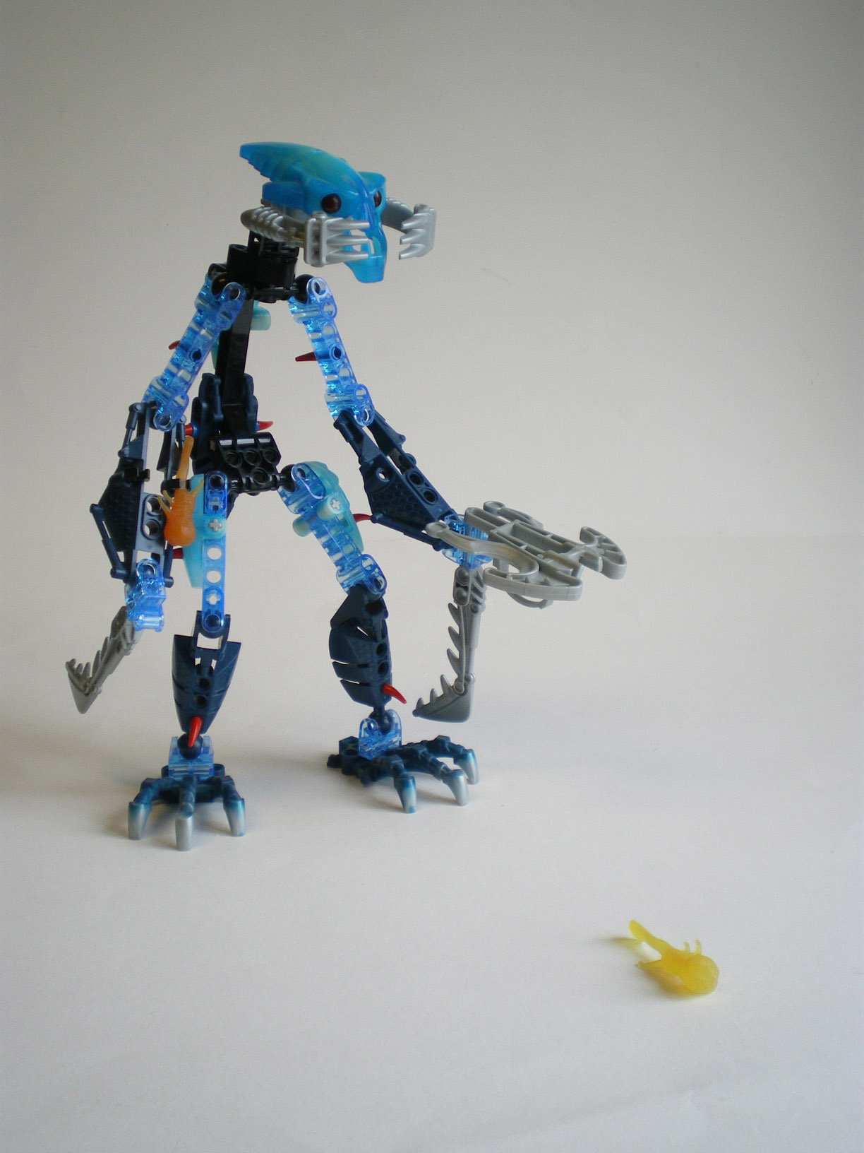 imgp5583.jpg