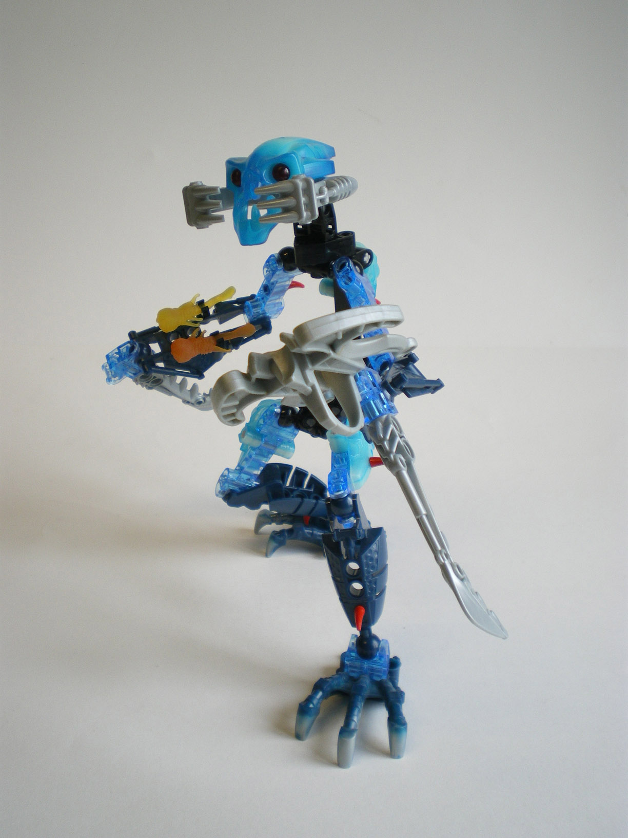imgp5585.jpg