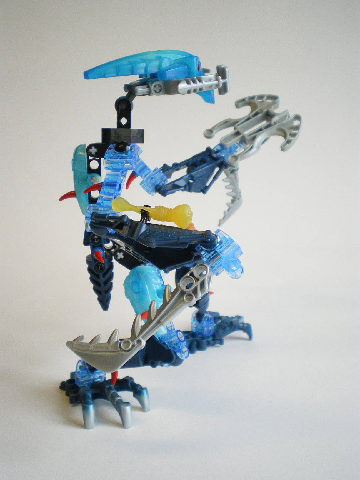 imgp5586.jpg