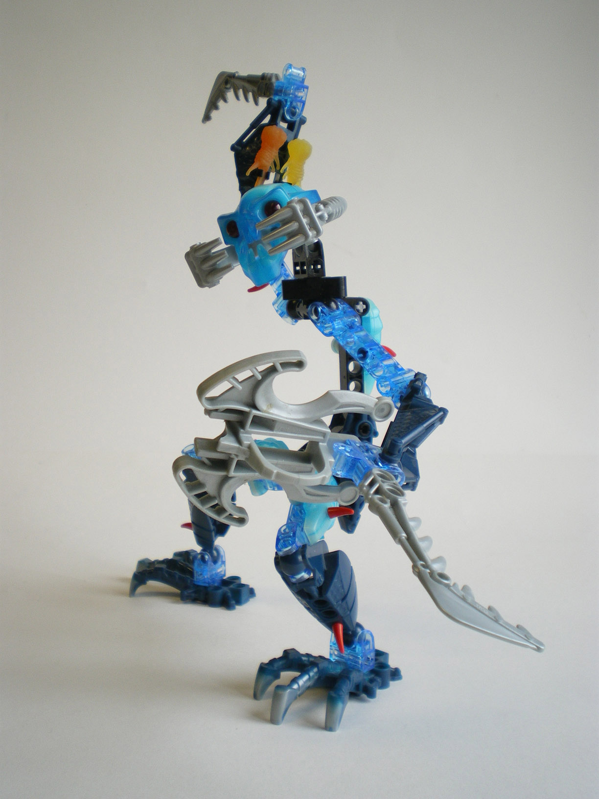 imgp5589.jpg
