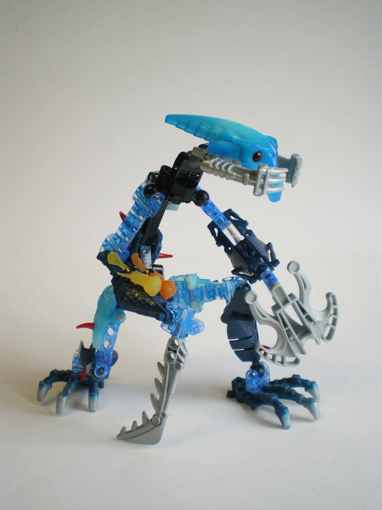 imgp5591.jpg