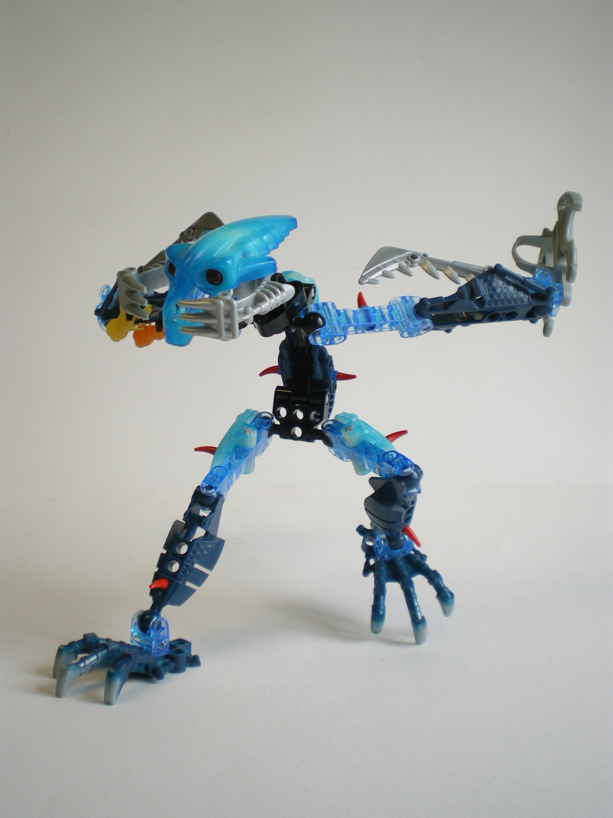 imgp5594.jpg