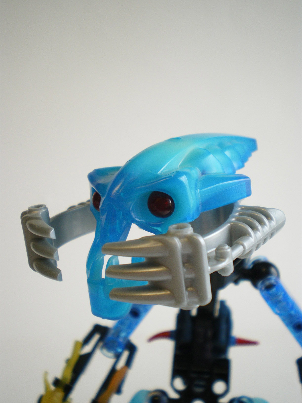 imgp5596.jpg