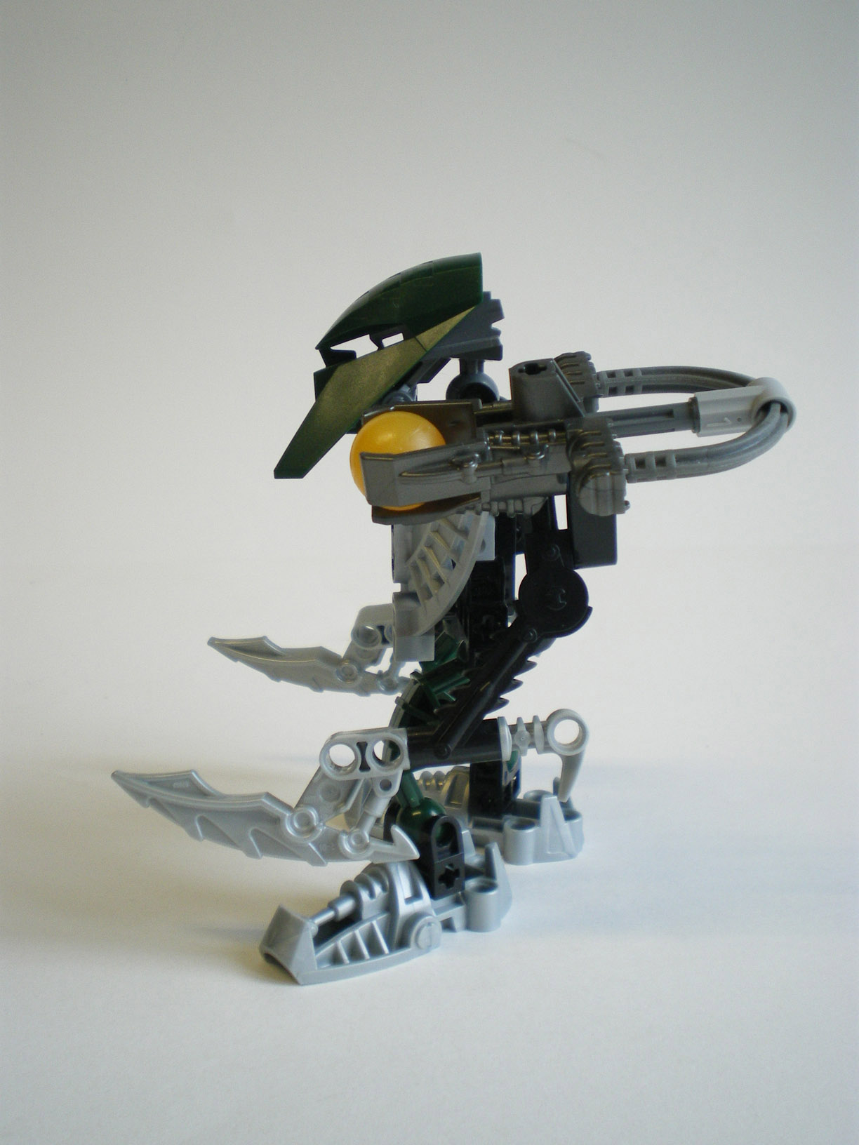 imgp5704.jpg