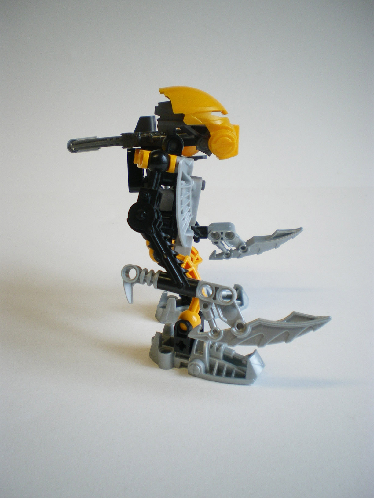imgp5679.jpg