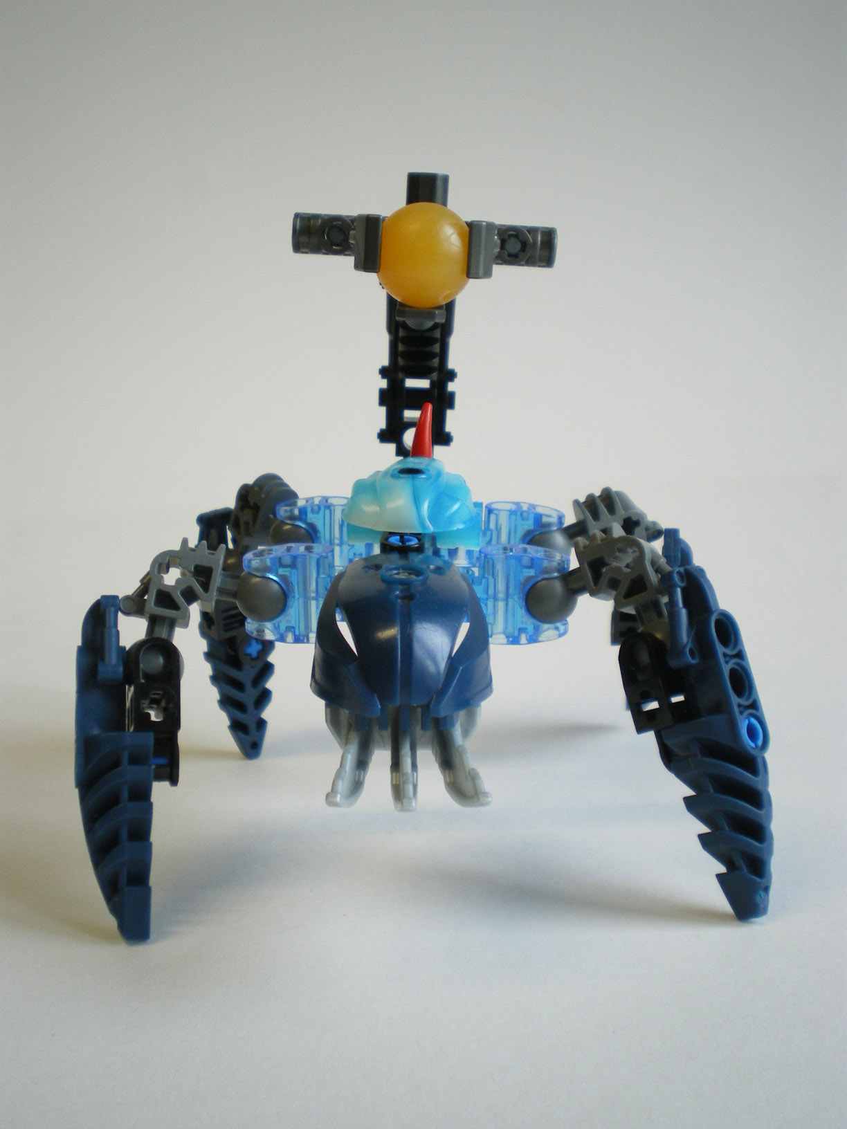 imgp5742.jpg