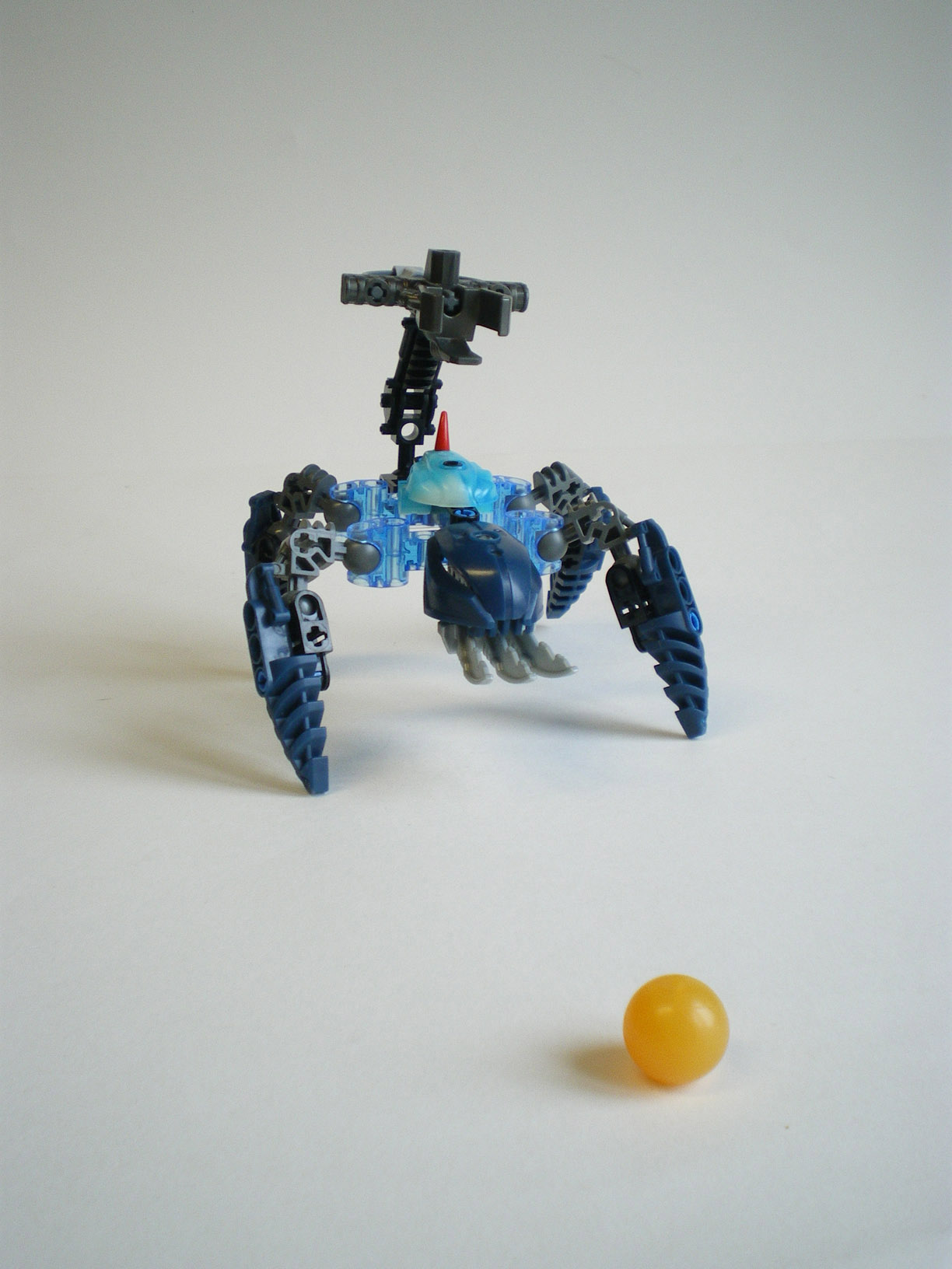 imgp5751.jpg