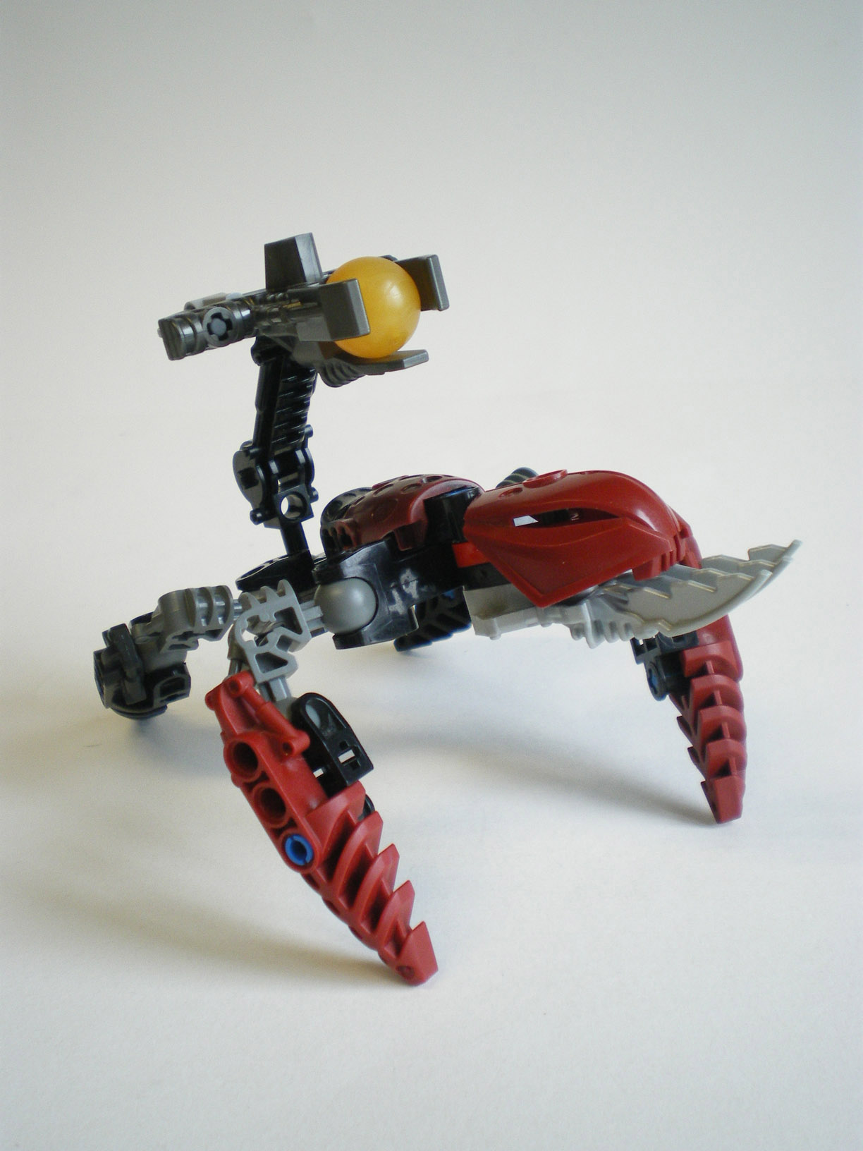 imgp5737.jpg
