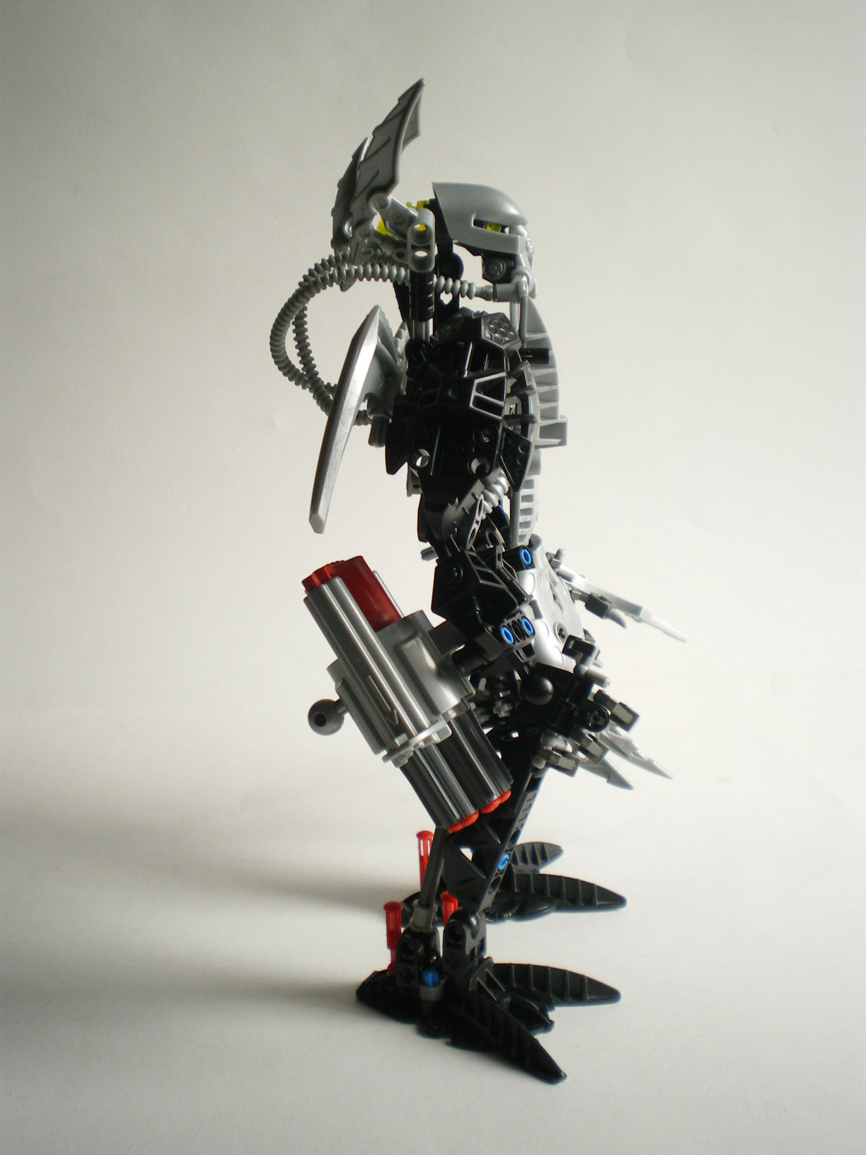 imgp9705.jpg