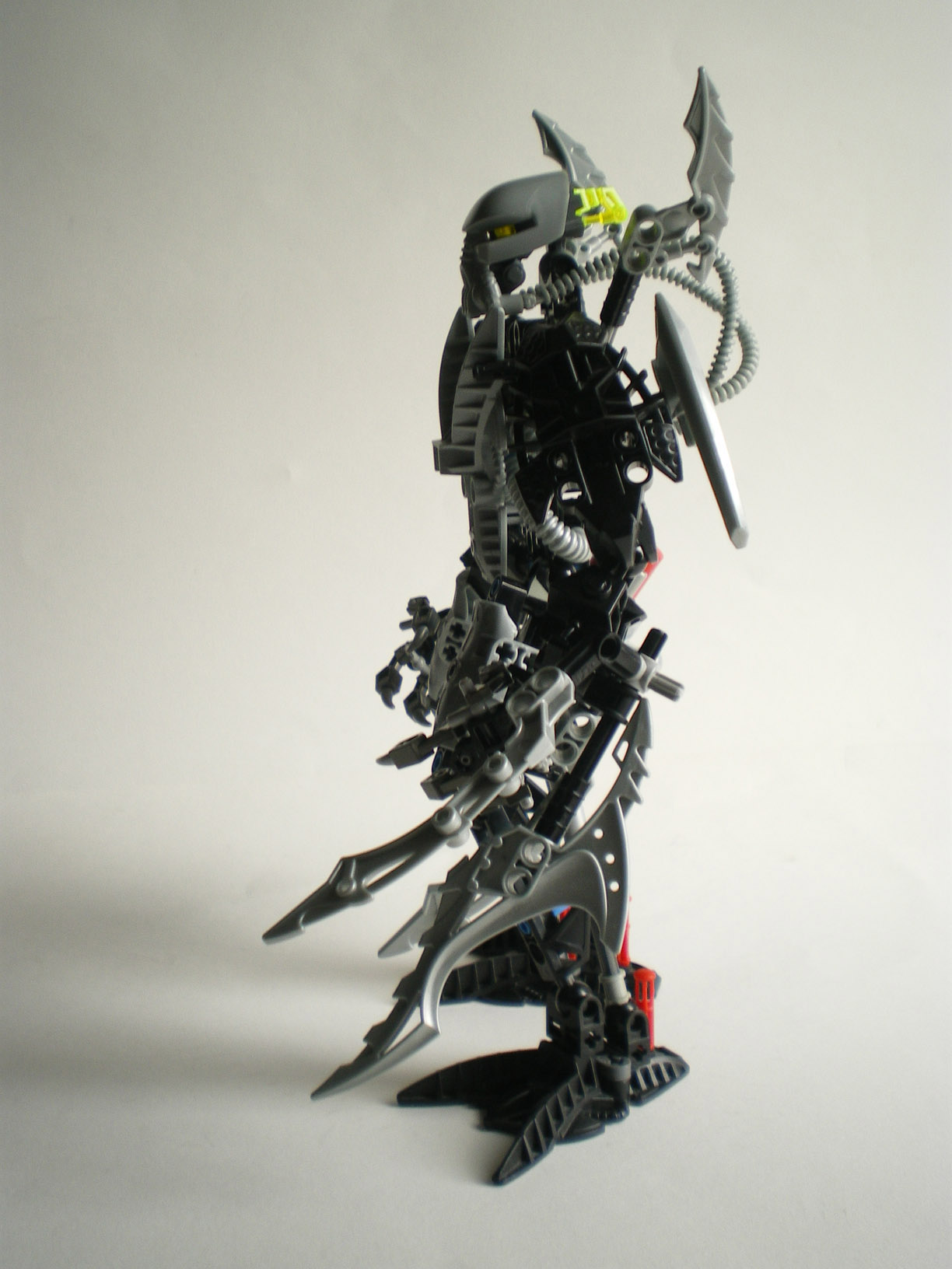 imgp9709.jpg