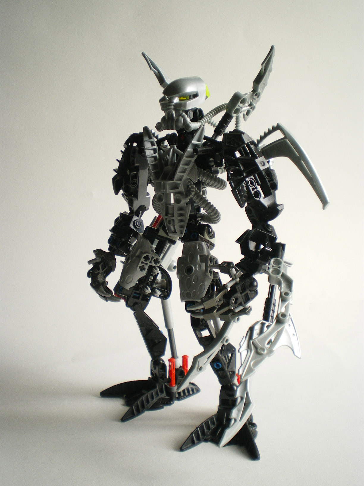 imgp9711.jpg