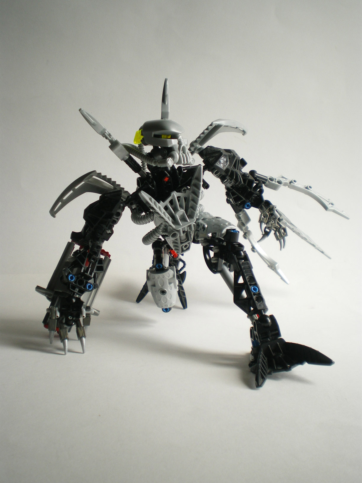 imgp9731.jpg