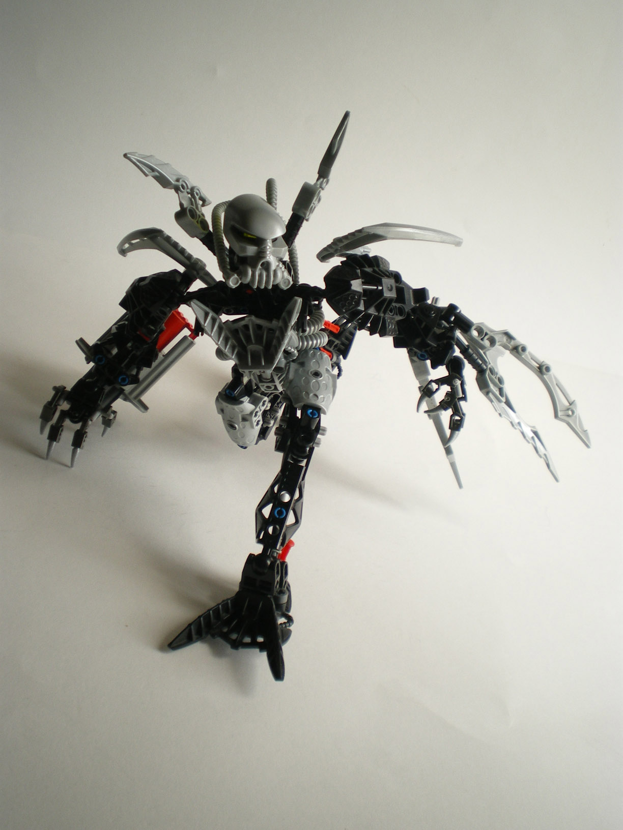 imgp9733.jpg