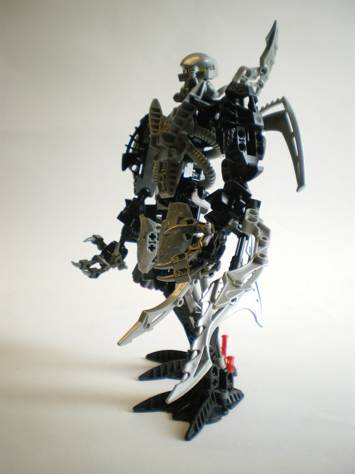 imgp9746.jpg