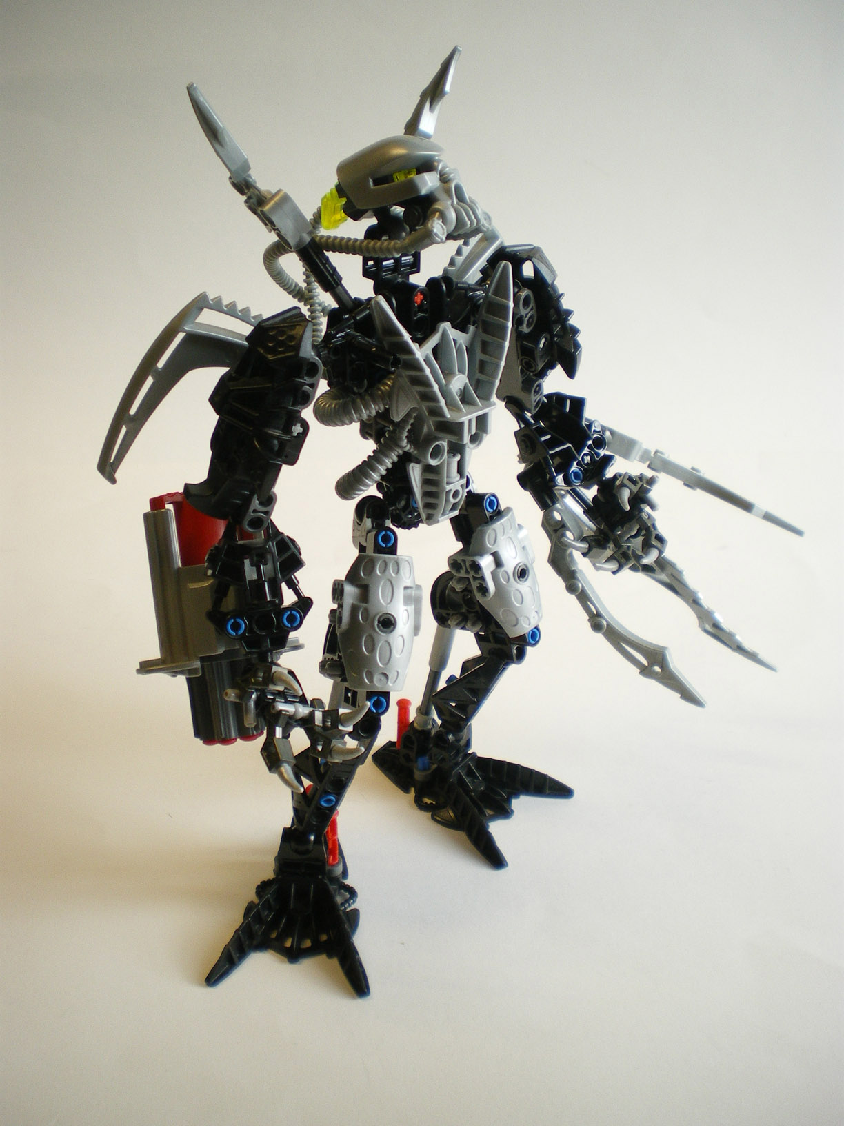 imgp9750.jpg