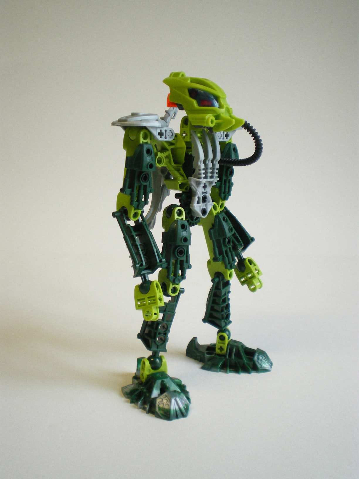 imgp6065.jpg