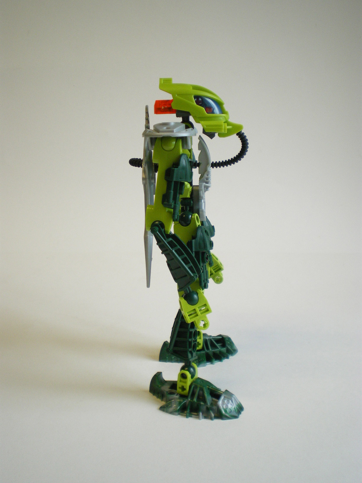 imgp6066.jpg