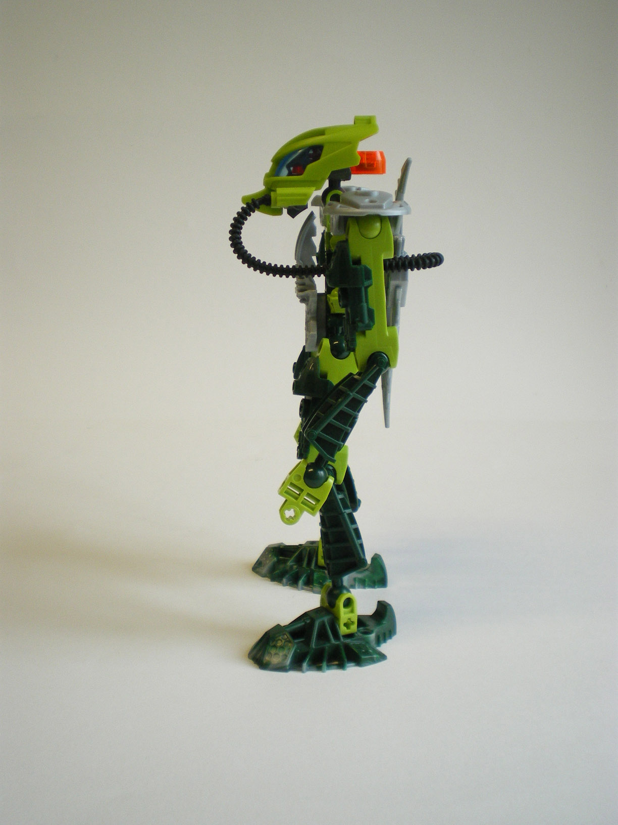 imgp6070.jpg