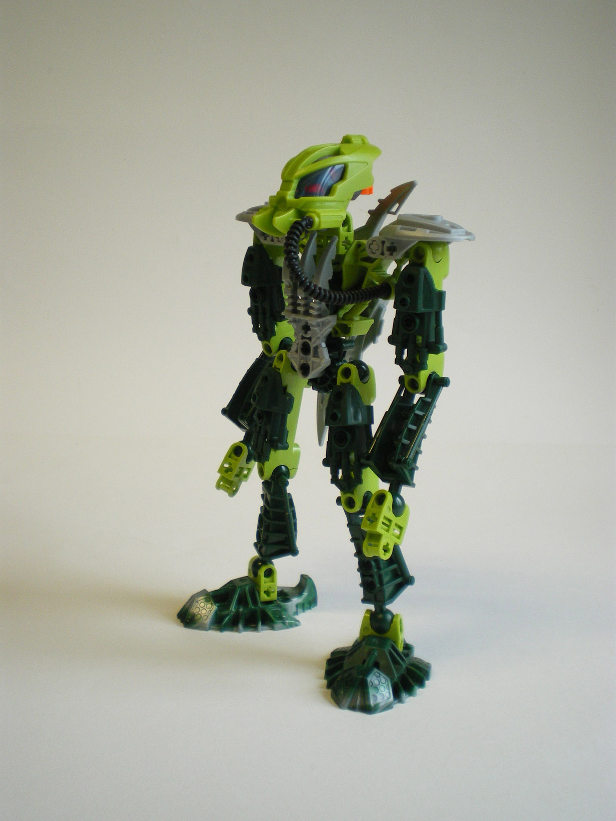 imgp6071.jpg
