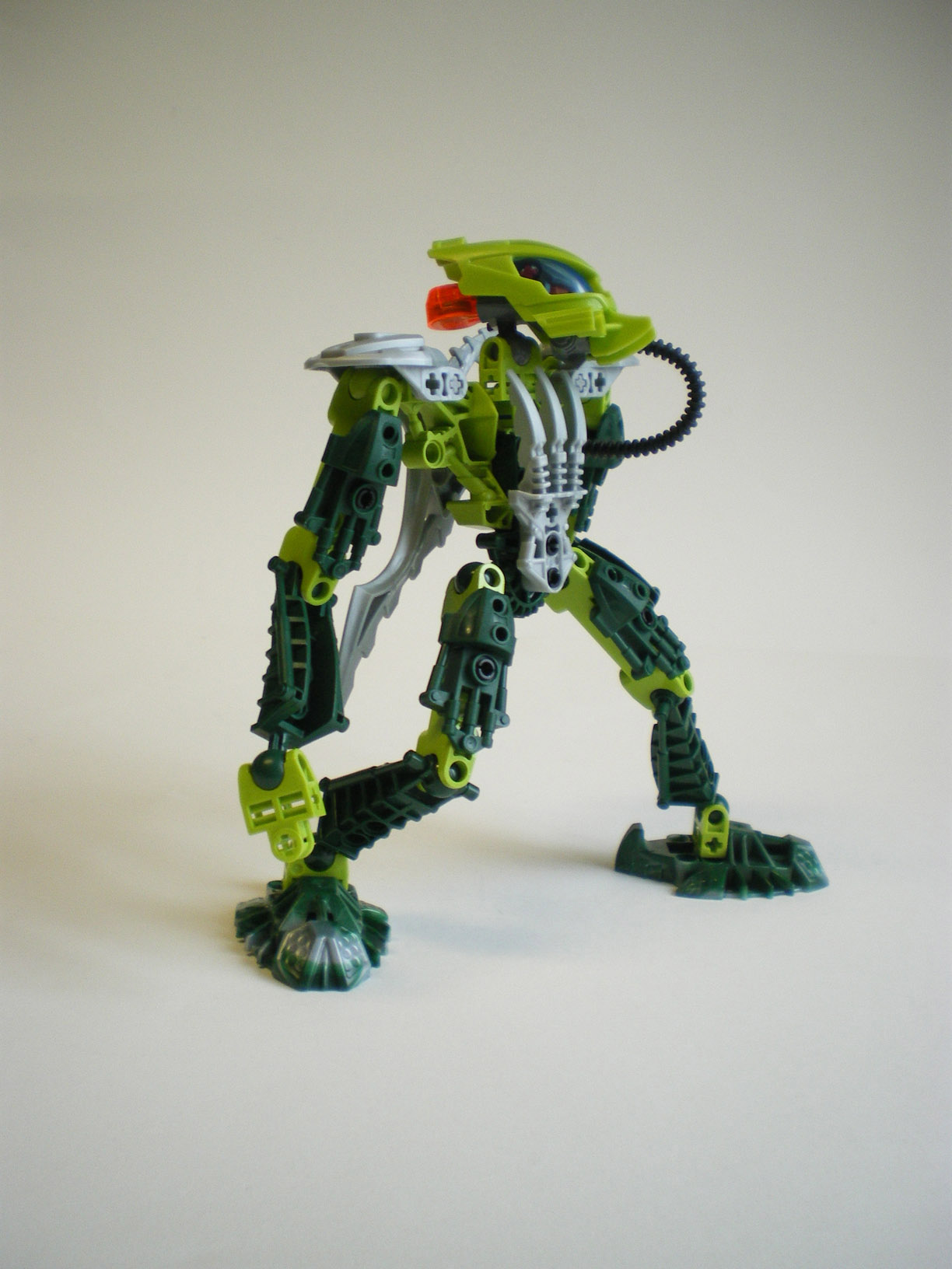 imgp6078.jpg