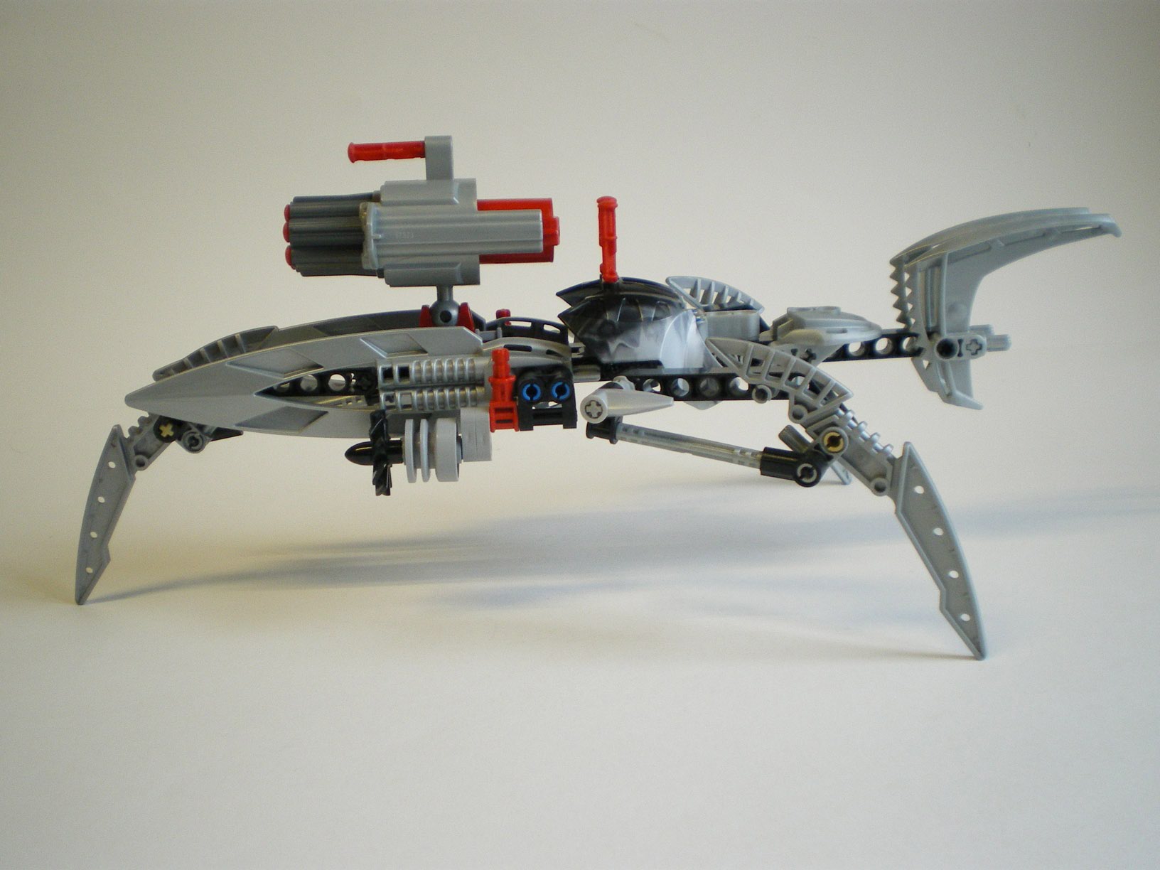 imgp6103.jpg
