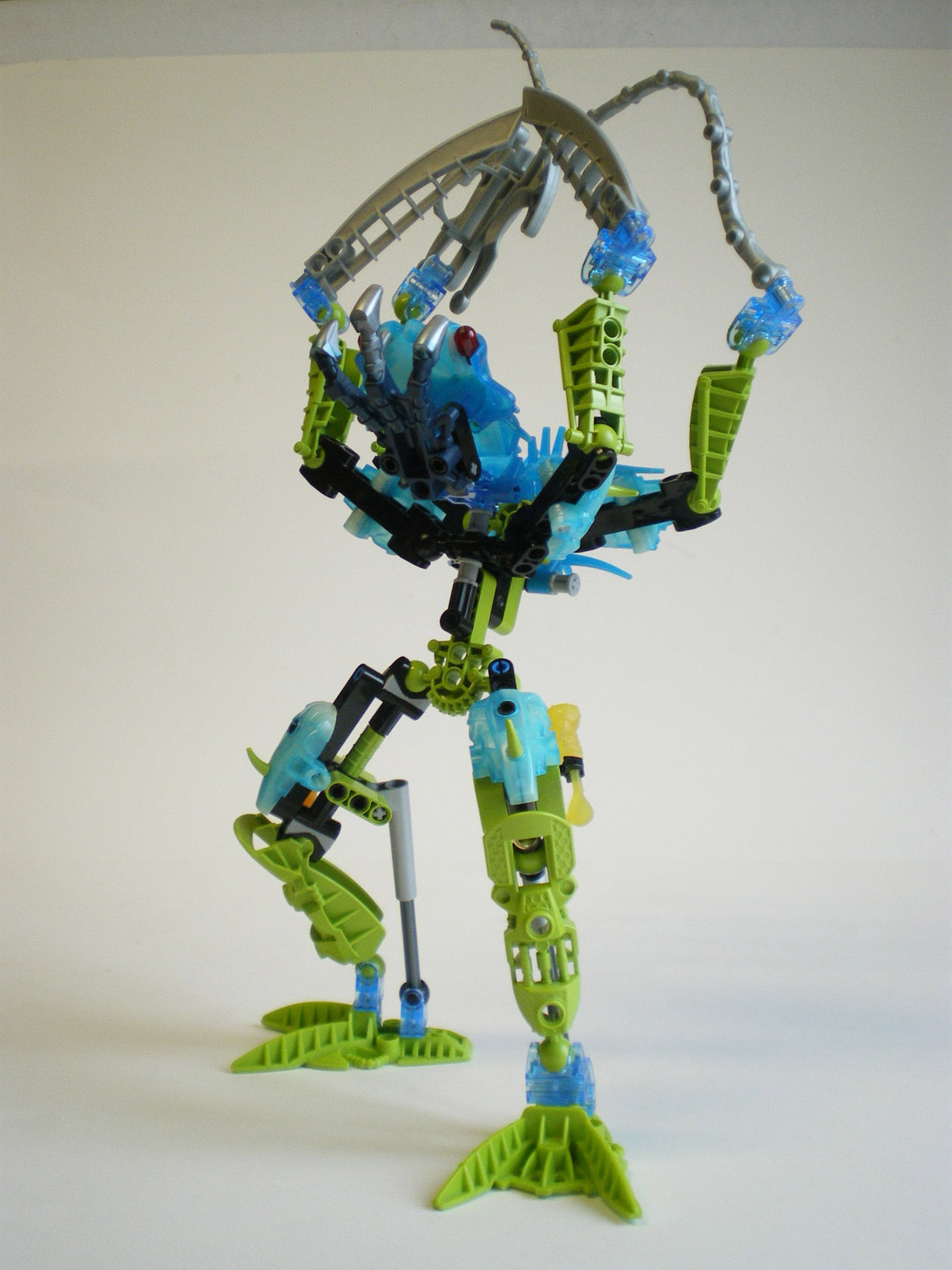 imgp6003.jpg